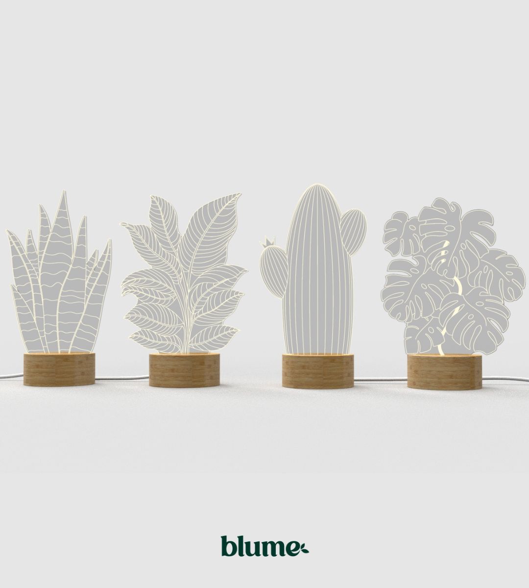 Snake Plant Lamp