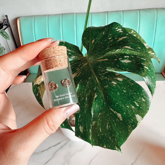 Monstera Thai Metal Stud Earrings