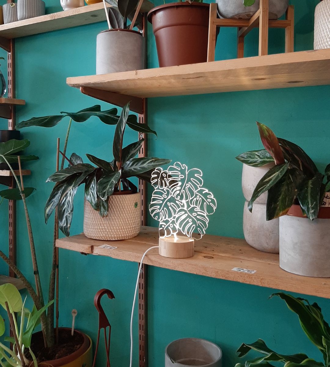 Monstera Plant Lamp