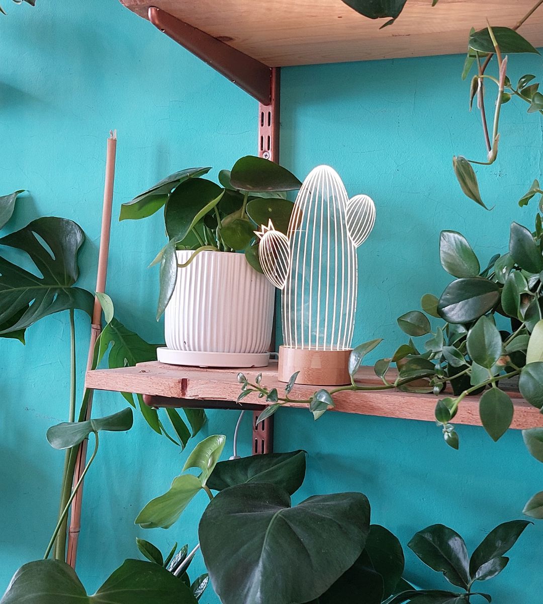 Cacti Plant Lamp
