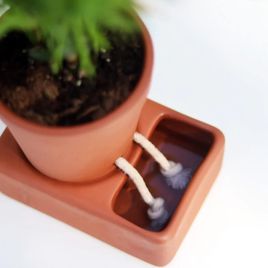 Self Care Planter