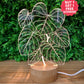 Philodendron Lamp