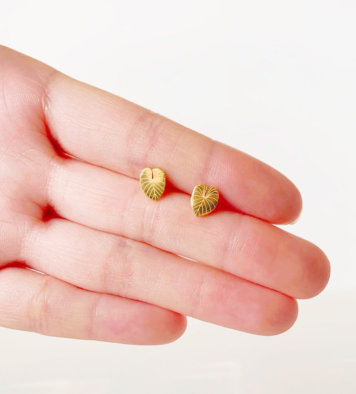 Philodendron Gloriosum Metal Stud Earrings